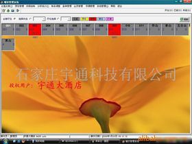网络技术开发 连接未来的数字脉络