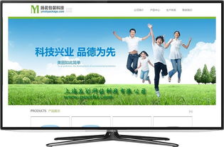 奉贤网络技术开发 从网站建设到移动端微网站的系统构建指南